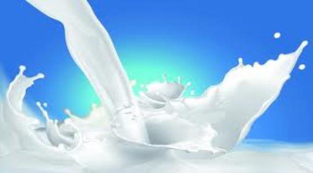 गुणवत्तापरक और पारदर्शी तरीके से दूध संग्रह के लिए डीपीएमसीयू (डेटा प्रोसेसिंग मिल्क कलेक्शन यूनिट) की स्थापना